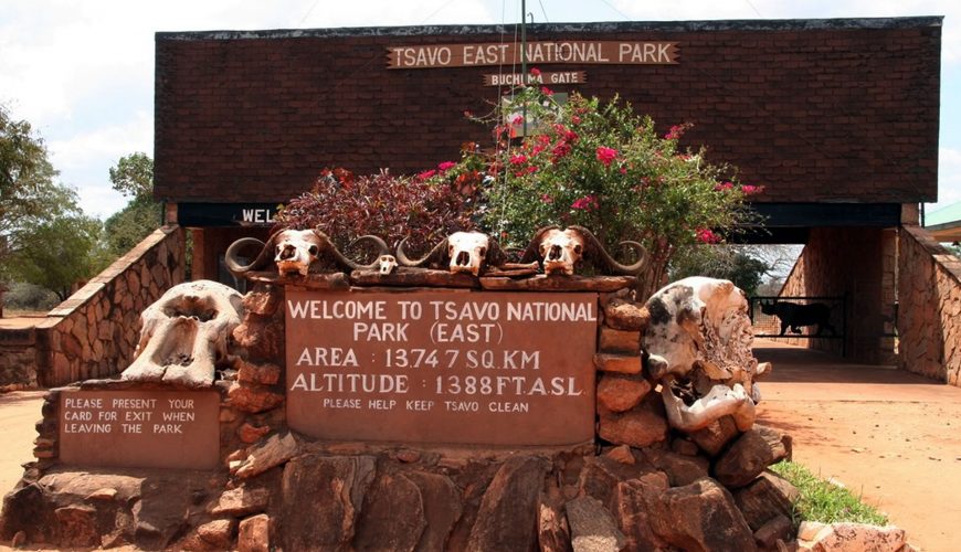 Tsavo East National Park is the place to go if you want to see the only red elephants in the world. Also look out for these 7 other things.