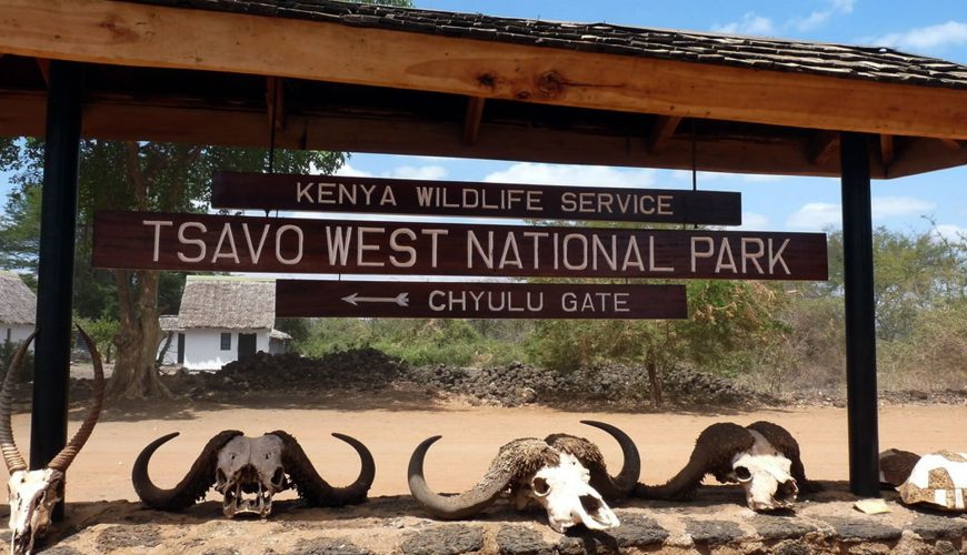 8 Things to Do at Tsavo West National Park