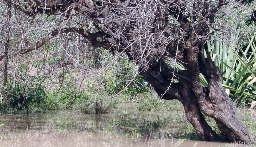 NEMA Warns Land Owners to Keep-off Wetlands