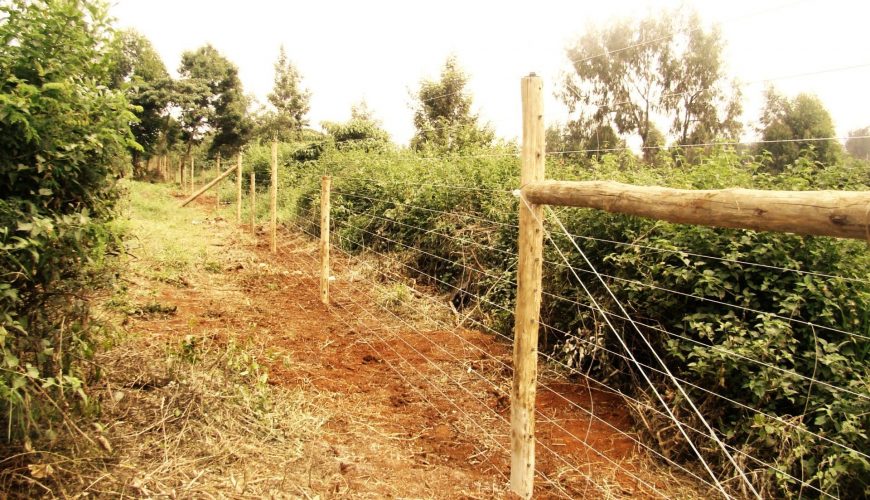 New Tsavo Fence Will Lower Human-Wildlife Conflict
