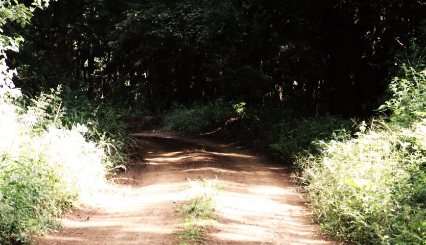 G4S Holds First Cross Country in Karura Forest