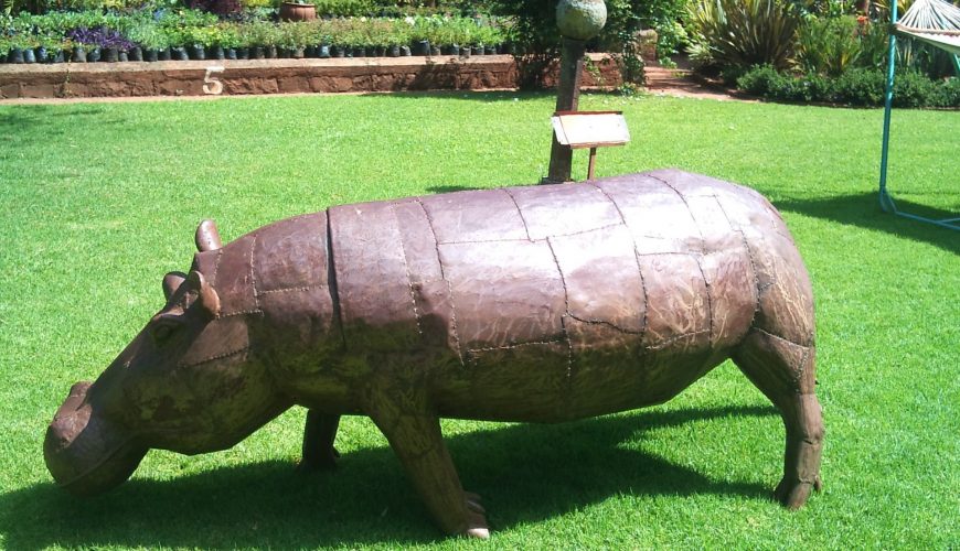 New Kind of Human-Wildlife Conflict in Your Backyard