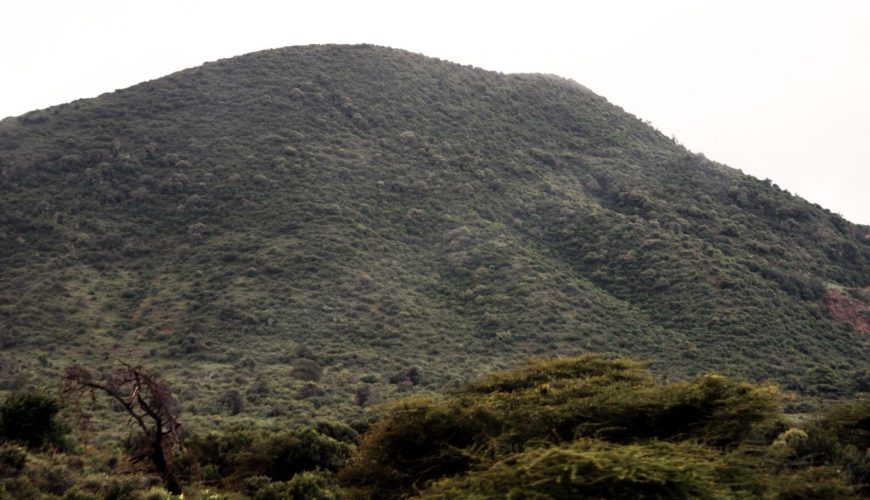 Marsabit National Park Expecting Major Facelift