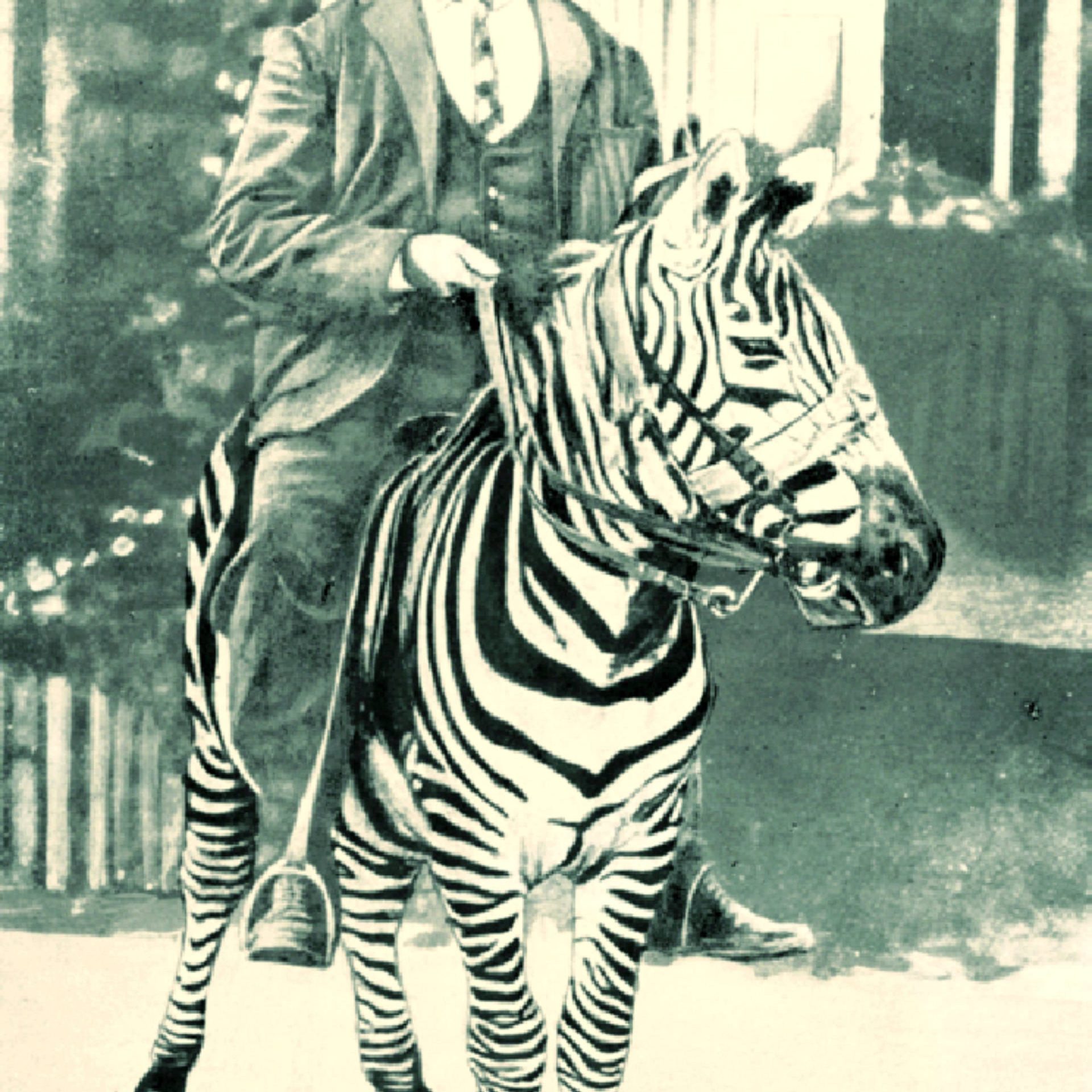 When Rosendo Ayres Ribeiro arrived in Kenya in 1898 from Goa, there were no private practitioners in the country.