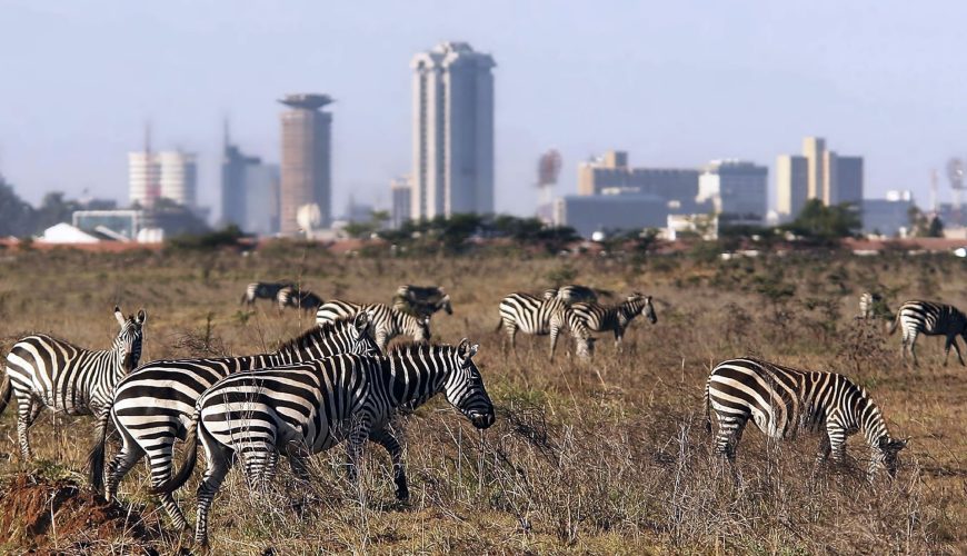 Nairobi National Park might be the smallest in Africa yet it is packed with exciting things to do. Here are five that you should not miss to do.
