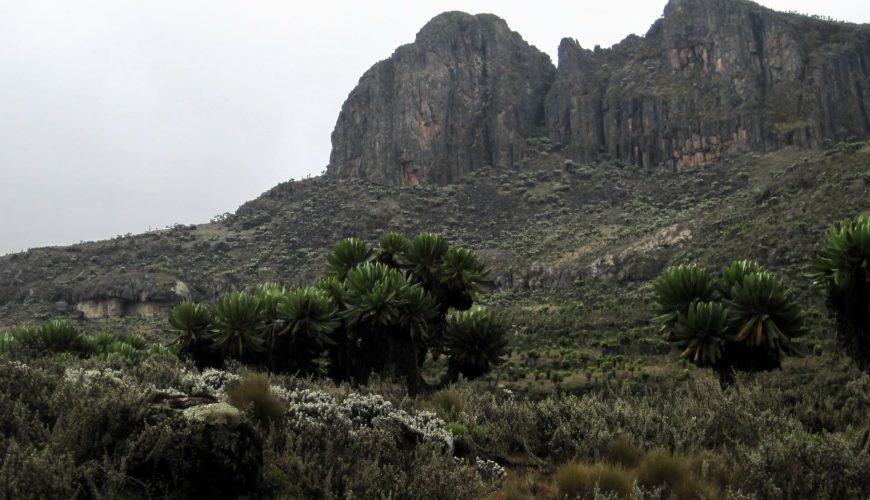 Mount Elgon National Park lays claim to one-half of Mount Elgon. But besides the mountain, there are other things to do there. Here are 5.