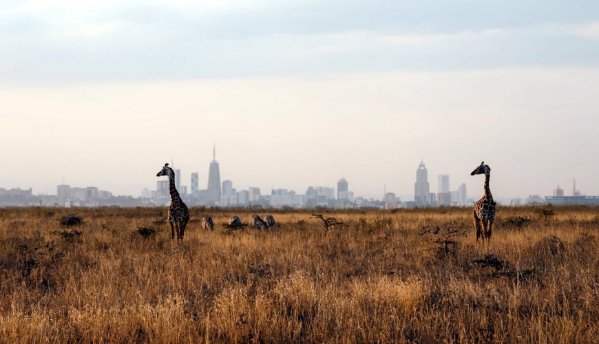 If you want to explore architectural marvels, here are seven of the most beautiful buildings in Kenya that you can visit on a weekend.