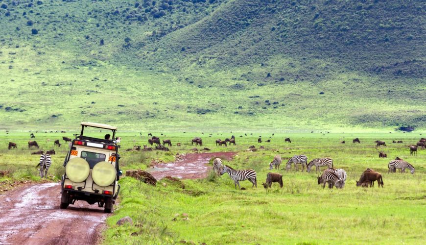 The UNWTO has created STAR, a self-assessment tool explicitly designed to assist rural destinations maximise their tourism potential.