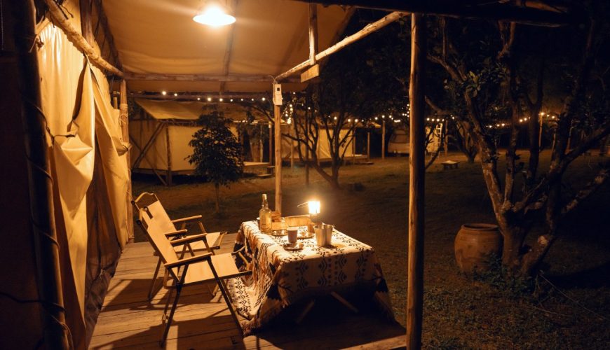 Beyond the Big Five: Exploring Sustainable Travel in Kenya