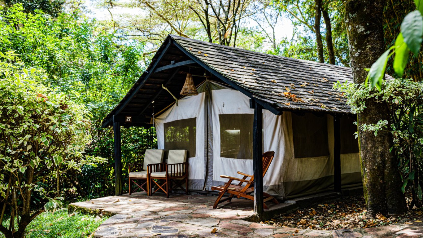 Ecotourism has ushered in a new era of eco-lodges, luxurious accommodations that blend seamlessly with the environment.