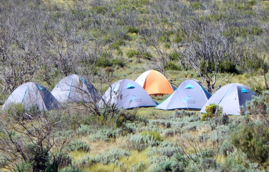 7-Day Mount Kenya Wilderness Camping