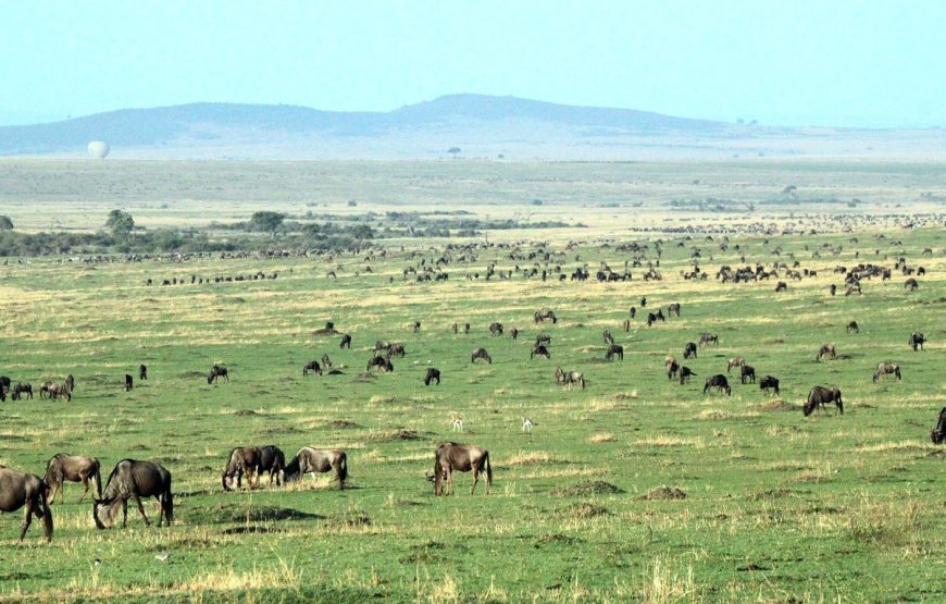 10-Day Mara-Loita Wilderness Camping Safari