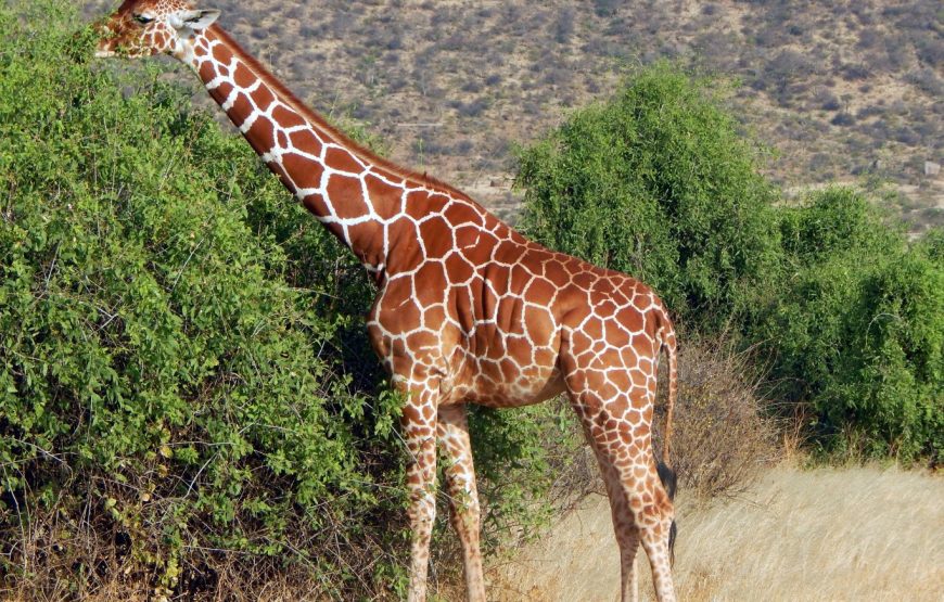 10-Day Mara-Loita Wilderness Camping Safari