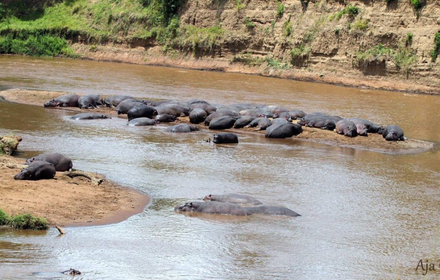 10-Day Mara-Loita Wilderness Camping Safari