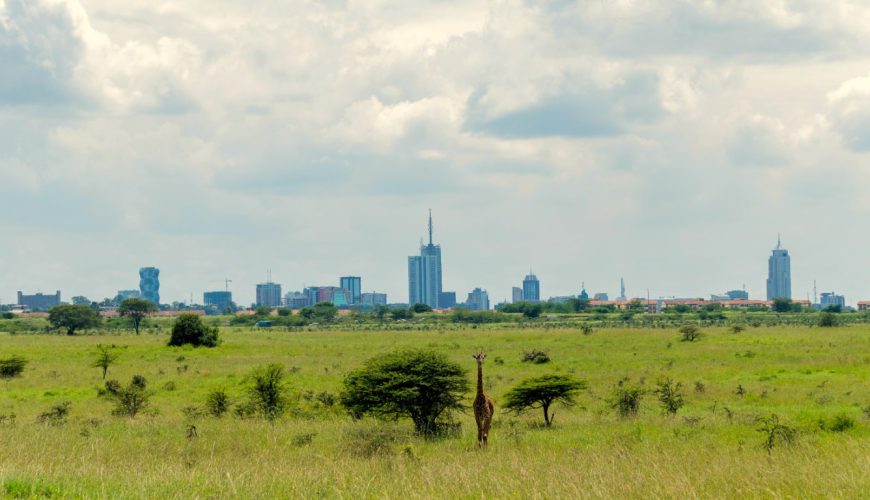 Kenya's iconic wildlife havens are back in business! Visitor numbers to the country’s national parks, reserves, and sanctuaries surged in 2023, eclipsing the previous year’s figures. It's a testament to the raw allure of the African bush and the concerted efforts to make these experiences accessible to all.