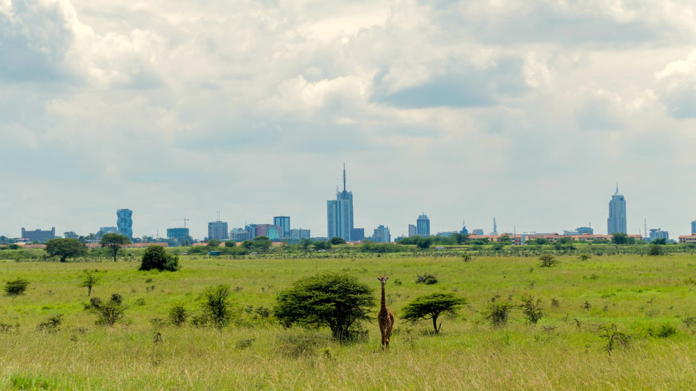 Kenya's iconic wildlife havens are back in business! Visitor numbers to the country’s national parks, reserves, and sanctuaries surged in 2023, eclipsing the previous year’s figures. It's a testament to the raw allure of the African bush and the concerted efforts to make these experiences accessible to all.