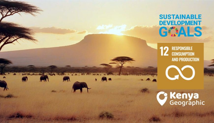 The 2024 Ecowarrior Awards longlist is out. This year's awards Realizing Sustainable Development Goals through Sustainable Tourism
