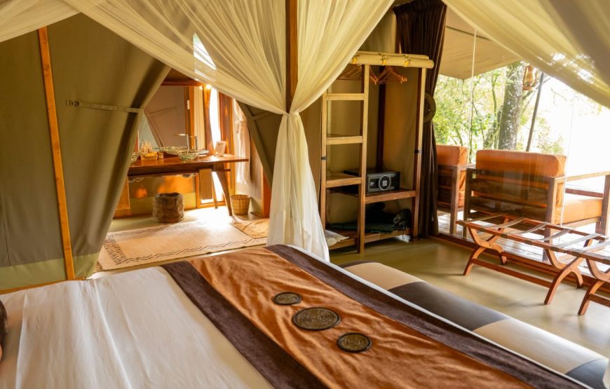 Luxury River View Tent