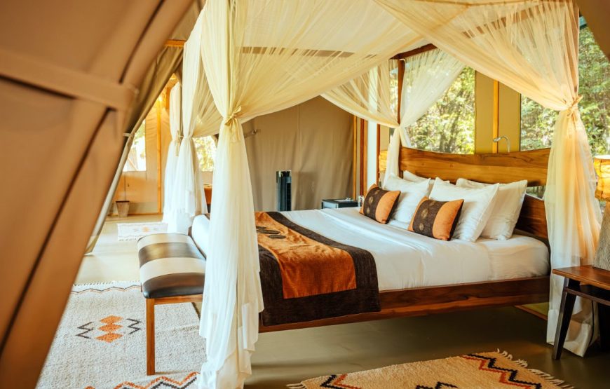 Luxury River View Tent