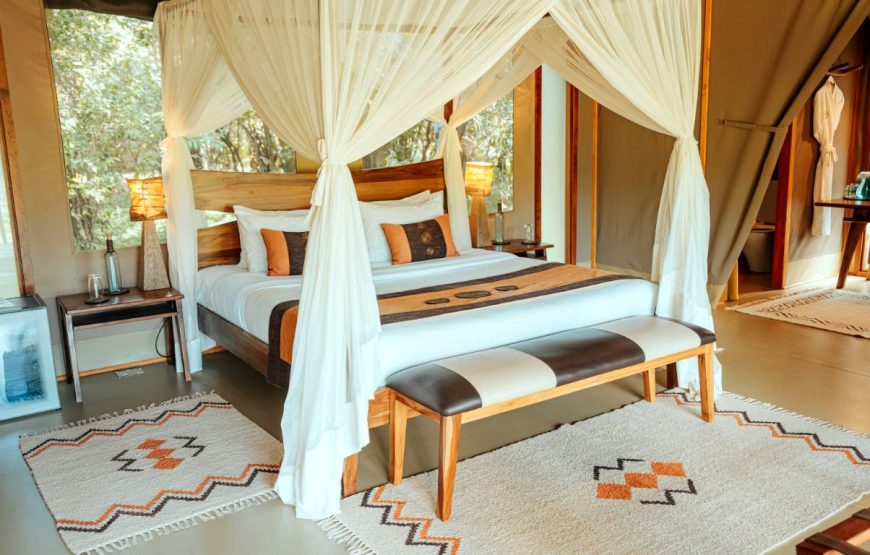 Luxury River View Tent