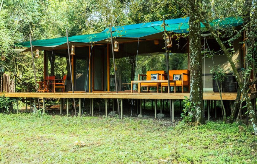 Luxury River View Tent