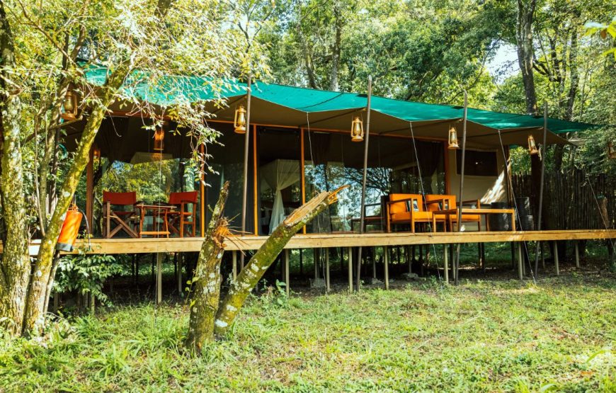 Luxury River View Tent