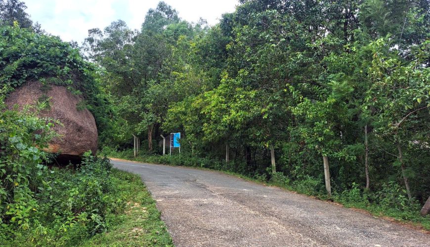 Discover Kajulu Forest. Plant a tree, explore scenic trails, and be part of sustainable travel. A must-add to your travel bucket list.