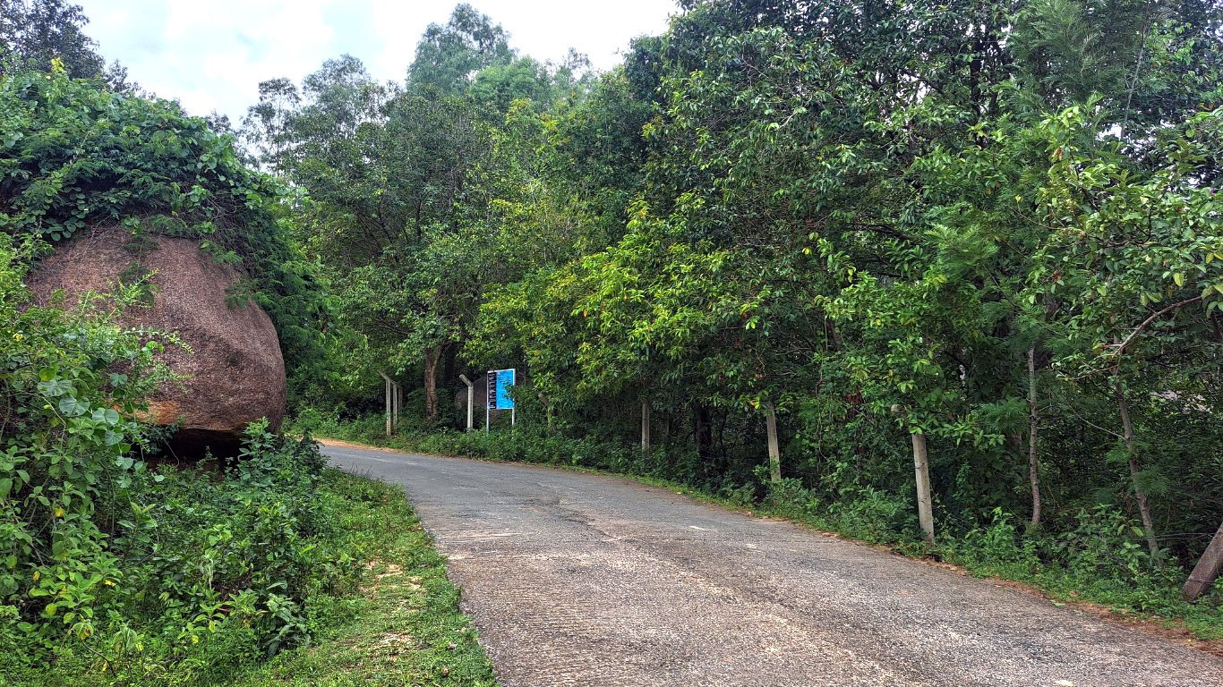 Discover Kajulu Forest. Plant a tree, explore scenic trails, and be part of sustainable travel. A must-add to your travel bucket list.