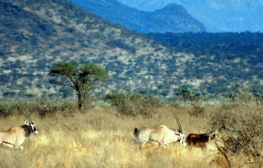 9-Day Mount Kenya-Samburu Safari