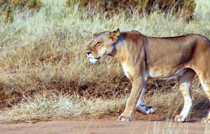 9-Day Mount Kenya-Samburu Safari