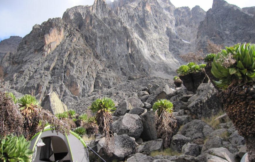 7-Day Mount Kenya Wilderness Camping