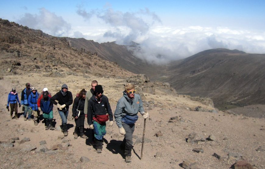 7-Day Mount Kenya Wilderness Camping
