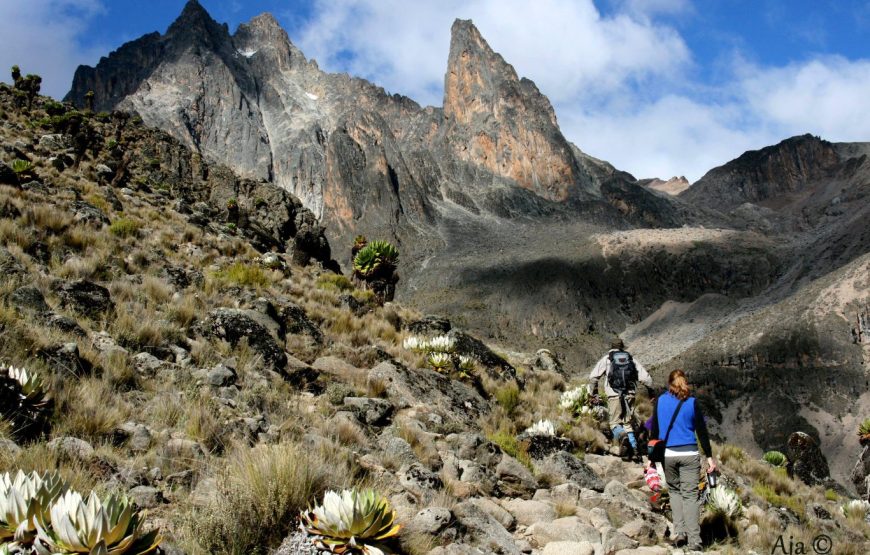 7-Day Mount Kenya Wilderness Camping
