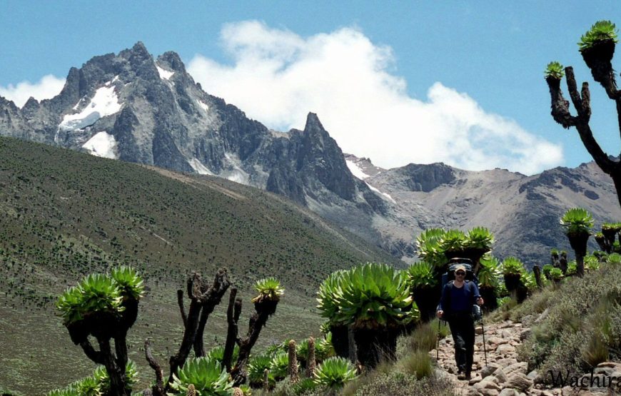 7-Day Mount Kenya Wilderness Camping
