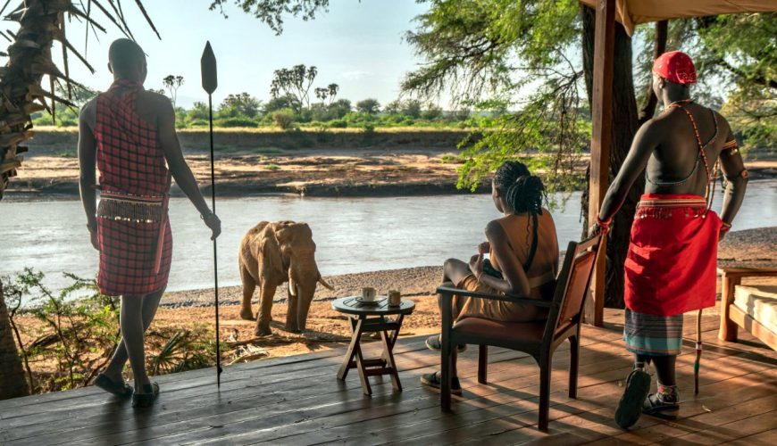 Our Soroi Larsens Camp Fly-In Safari promises an unmatched 3-day adventure that immerses you in the wild beauty of Samburu Game Reserve – a place where rugged landscapes meet luxurious comfort in perfect harmony.