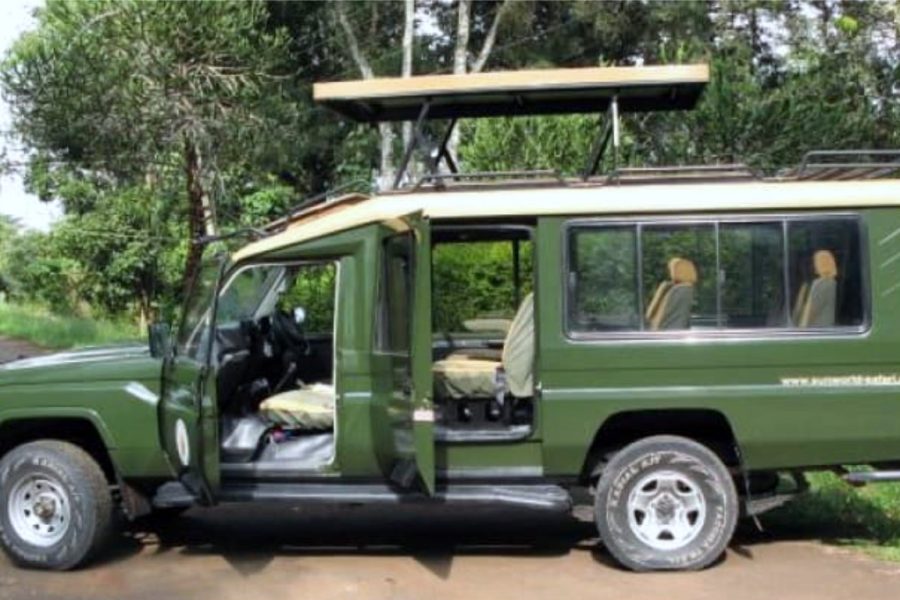Chauffeur-driven Safari Landcruiser