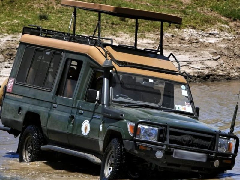 Experience Kenya in an Extended Safari Landcruiser with 7 window seats, pop-up roof, and expert guides for a spacious, safe, and immersive game-viewing adventure.