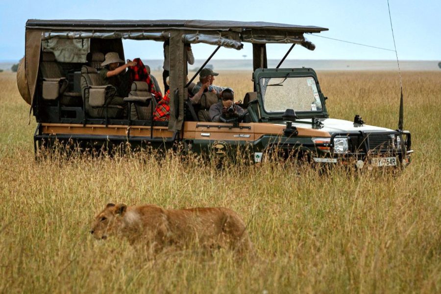 Chauffeur-driven Safari Landcruiser