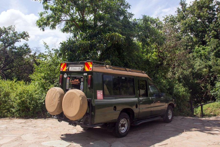 Self-driven Safari Land Cruiser
