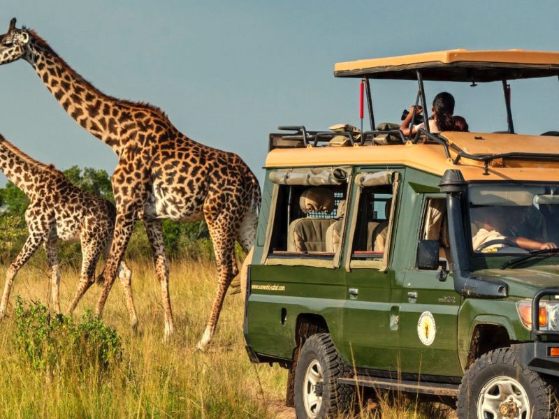 Explore Kenya in a self-driven safari Land Cruiser with 5 window seats, a pop-up roof, and an onboard fridge for an unforgettable adventure.