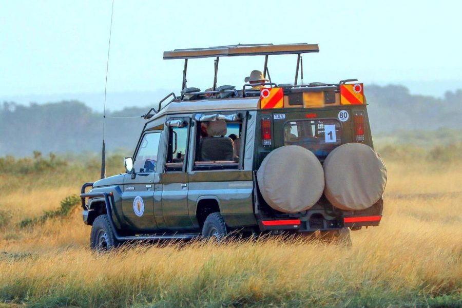Self-driven Safari Land Cruiser