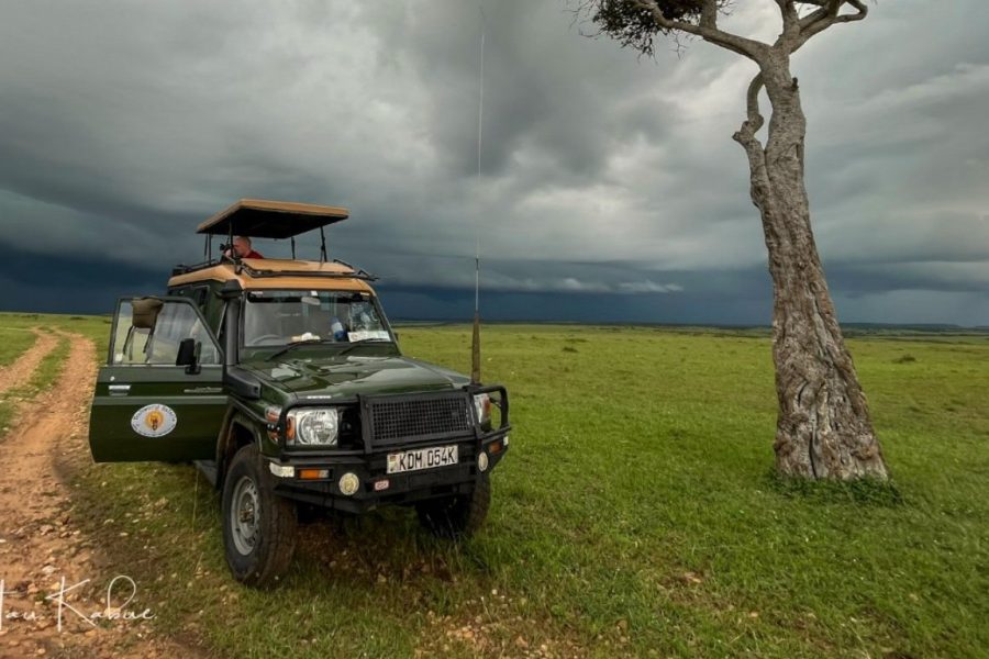 Self-driven Safari Land Cruiser