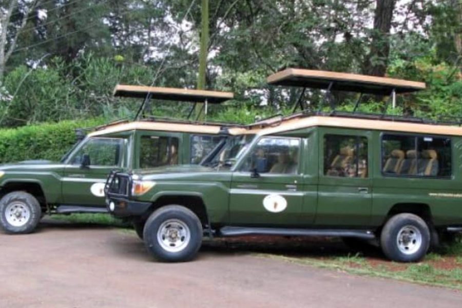 Self-driven Safari Land Cruiser
