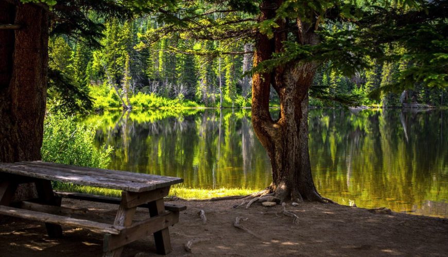 5 Park and Chill Spots in Kenya Worth Exploring
