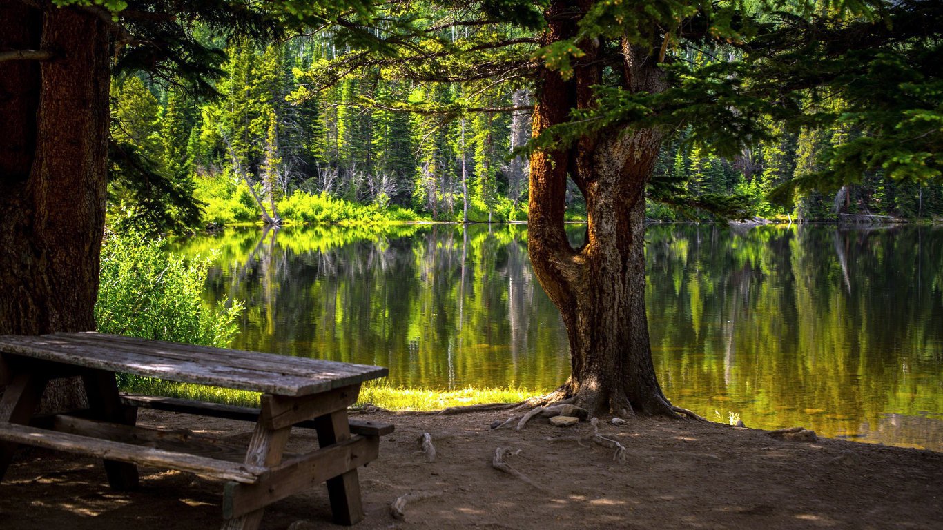 5 Park and Chill Spots in Kenya Worth Exploring