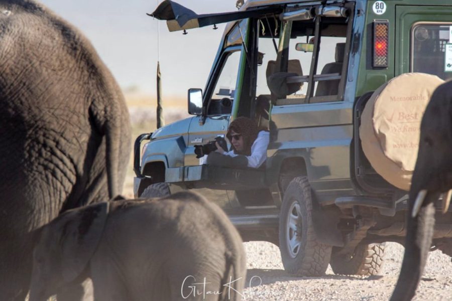 Photographic Safari Landcruiser