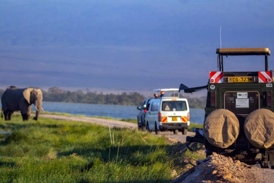 Photographic Safari Landcruiser