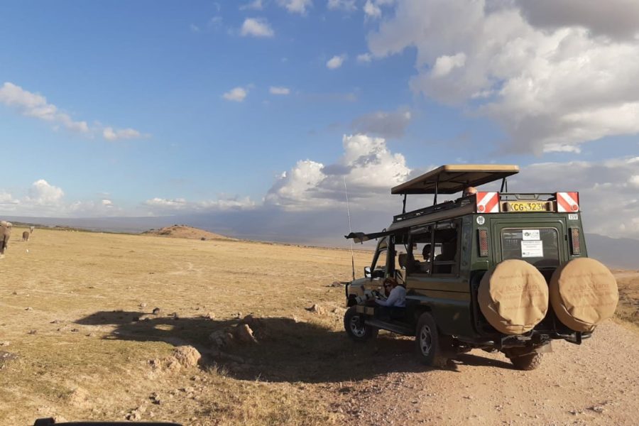 Photographic Safari Landcruiser