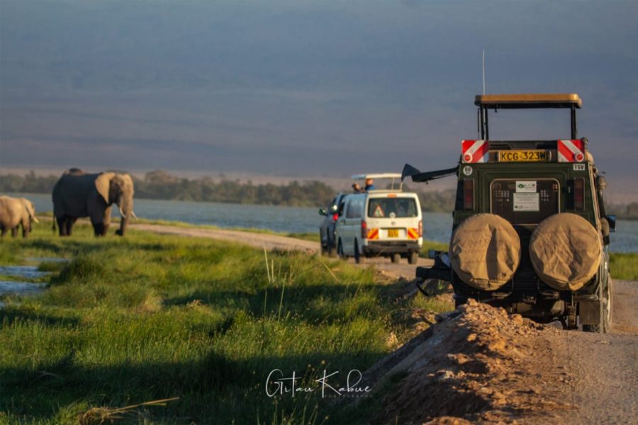 Photographic Safari Landcruiser