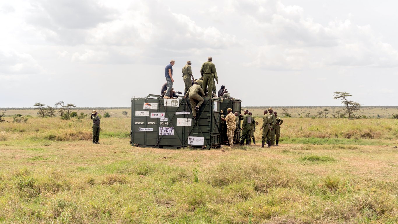 The rhinos' translocation is a carefully planned process that will take place over 18 days. During this time, KWS specialists will closely monitor the animals to ensure a successful adjustment to their new environment.